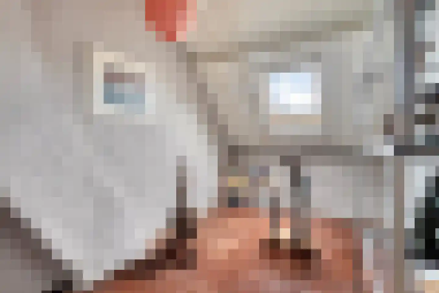 Hulsterloostraat 121 Nieuw Namen thumbnail 25
