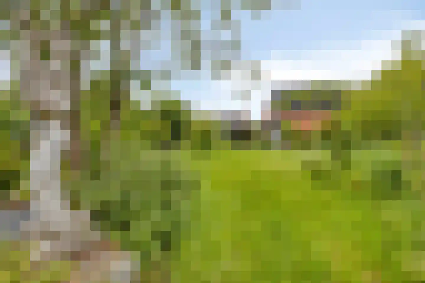 Hulsterloostraat 121 Nieuw Namen thumbnail 29
