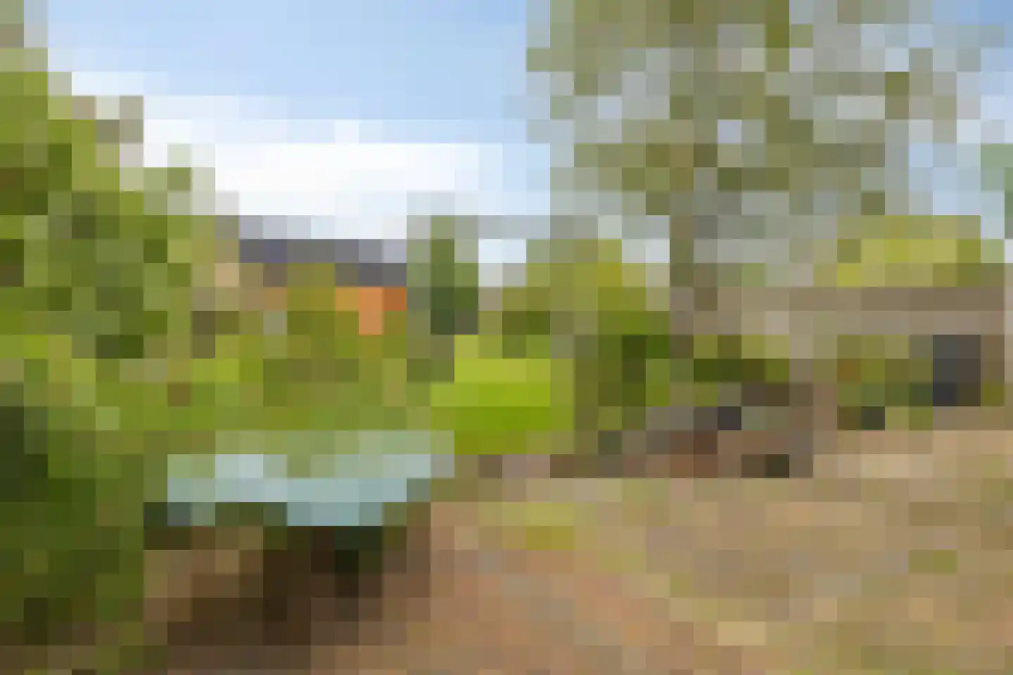 Hulsterloostraat 121 Nieuw Namen thumbnail 30