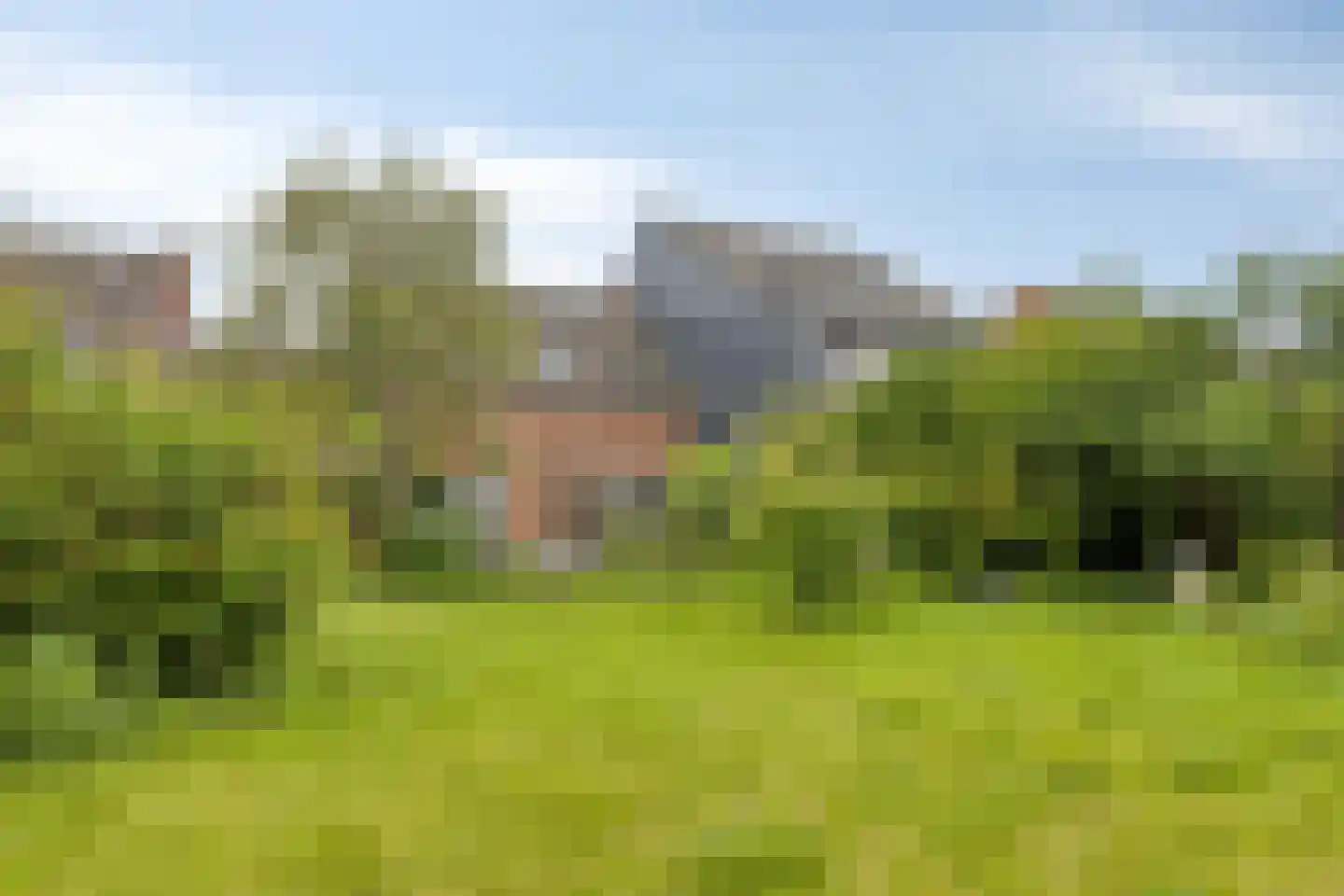 Hulsterloostraat 121 Nieuw Namen thumbnail 31