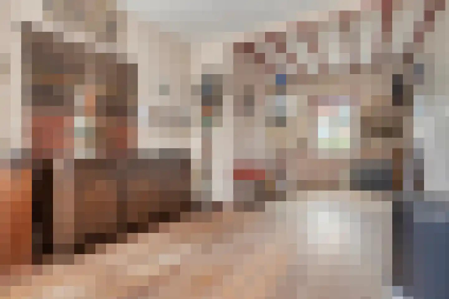 Hulsterloostraat 121 Nieuw Namen thumbnail 8