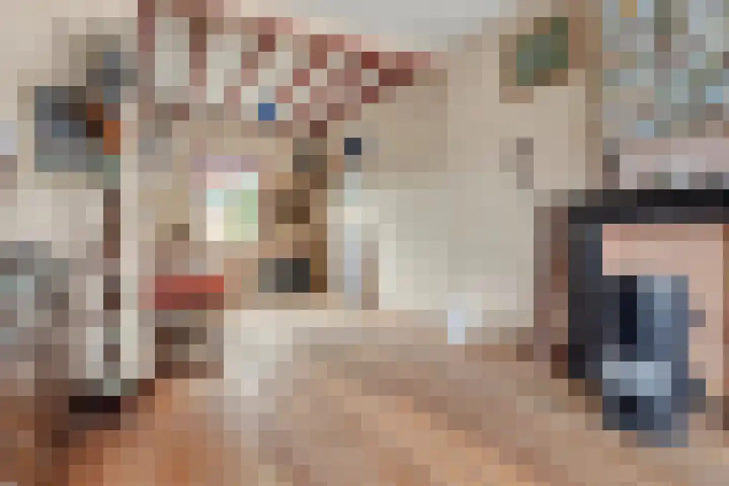 Hulsterloostraat 121 Nieuw Namen thumbnail 9