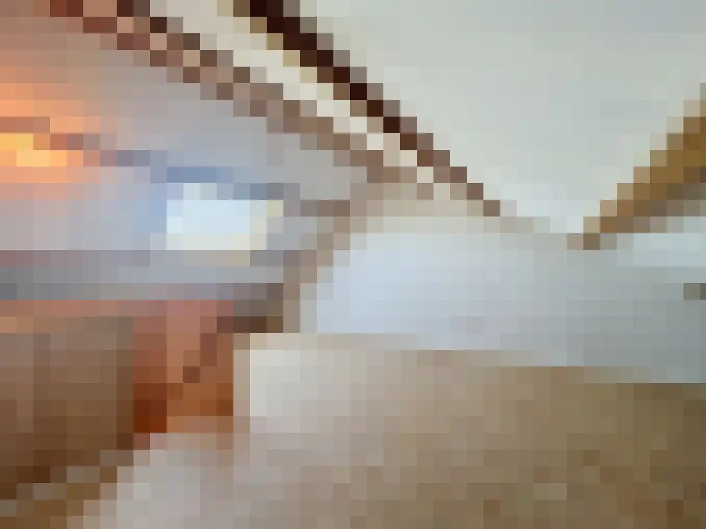 Hulsterloostraat 129 Nieuw Namen thumbnail 10