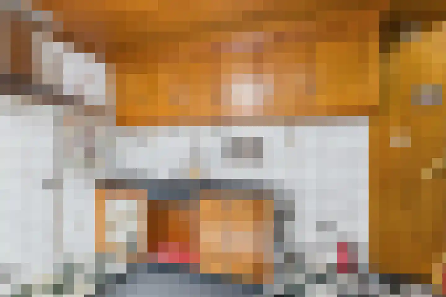 Hulsterloostraat 32 Nieuw Namen thumbnail 12