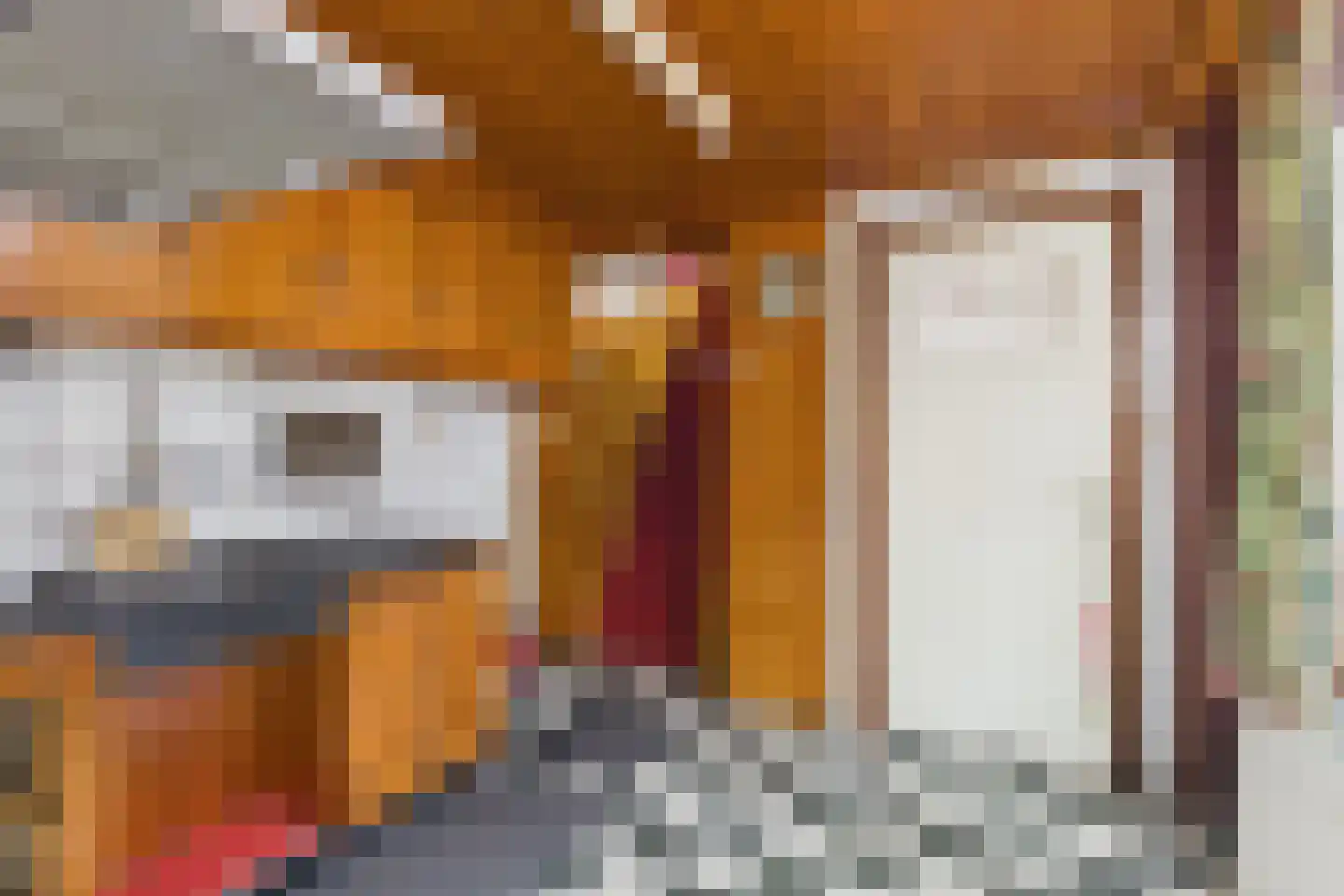 Hulsterloostraat 32 Nieuw Namen thumbnail 14