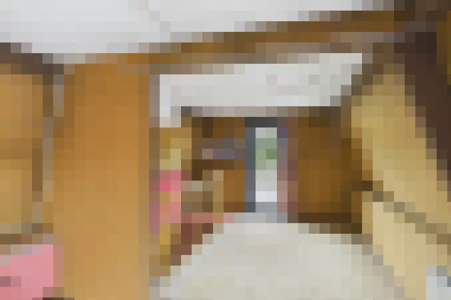 Hulsterloostraat 32 Nieuw Namen thumbnail 17