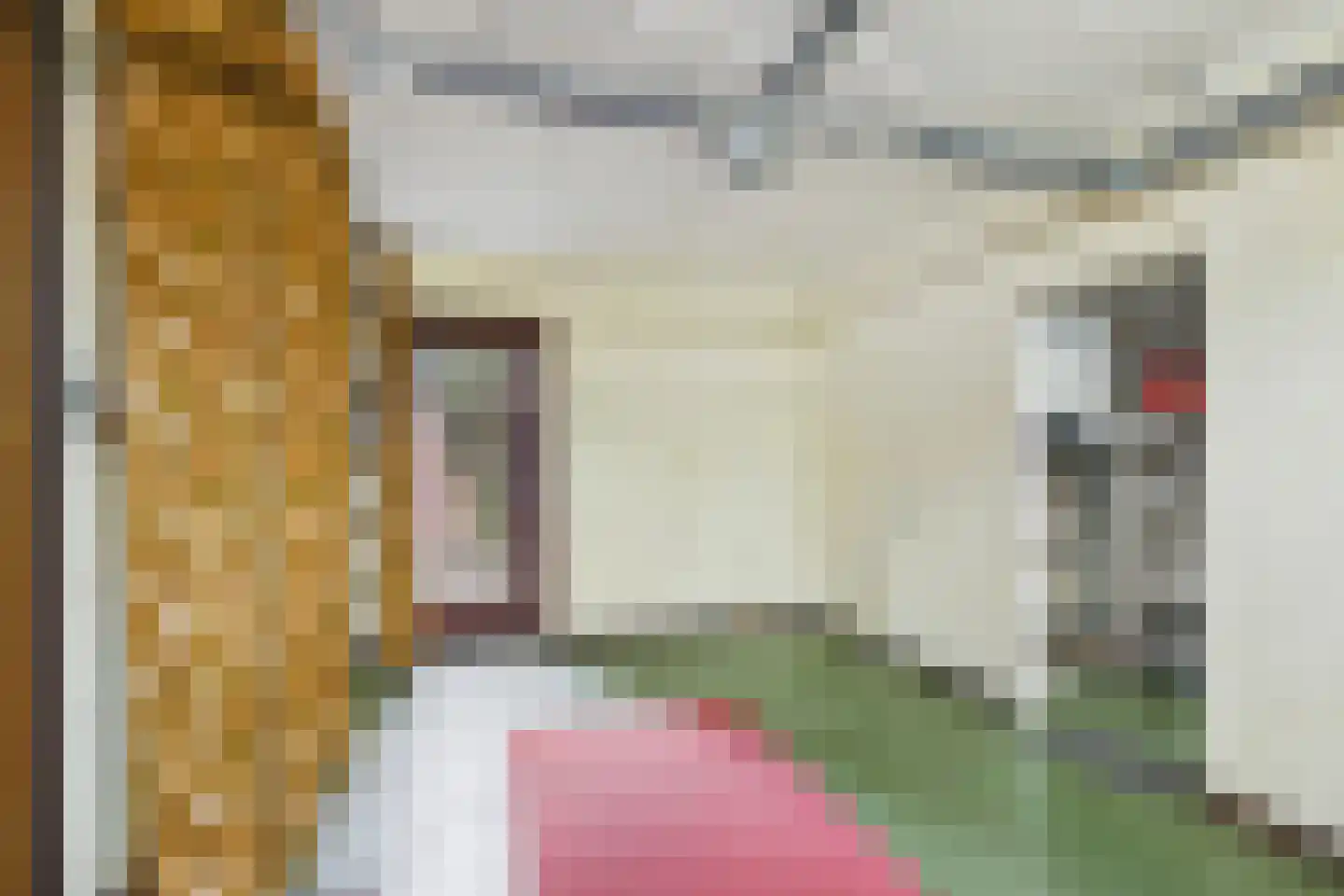 Hulsterloostraat 32 Nieuw Namen thumbnail 18