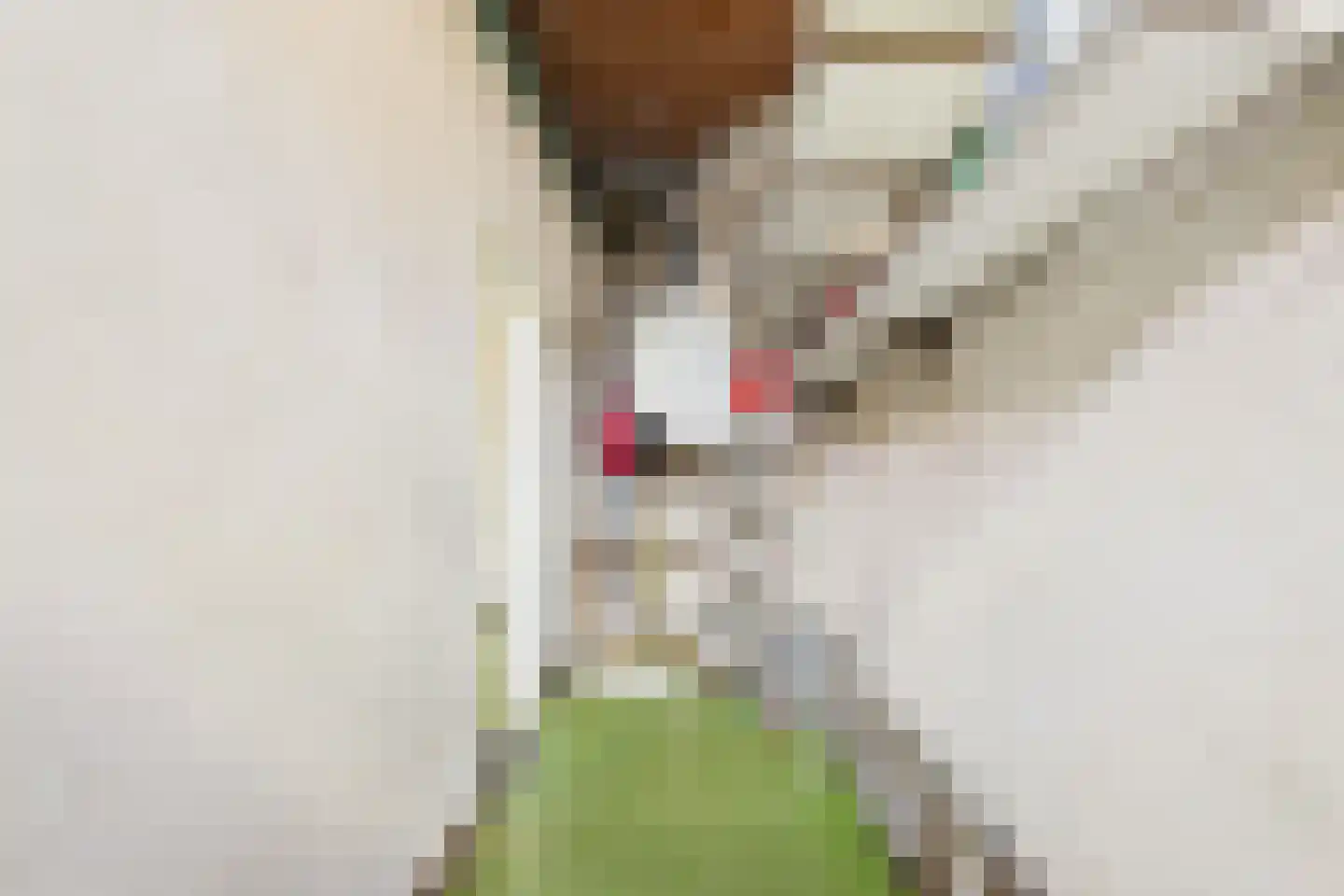 Hulsterloostraat 32 Nieuw Namen thumbnail 21