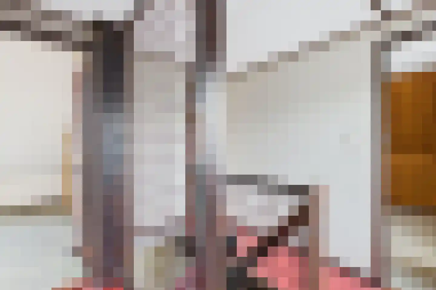 Hulsterloostraat 32 Nieuw Namen thumbnail 22