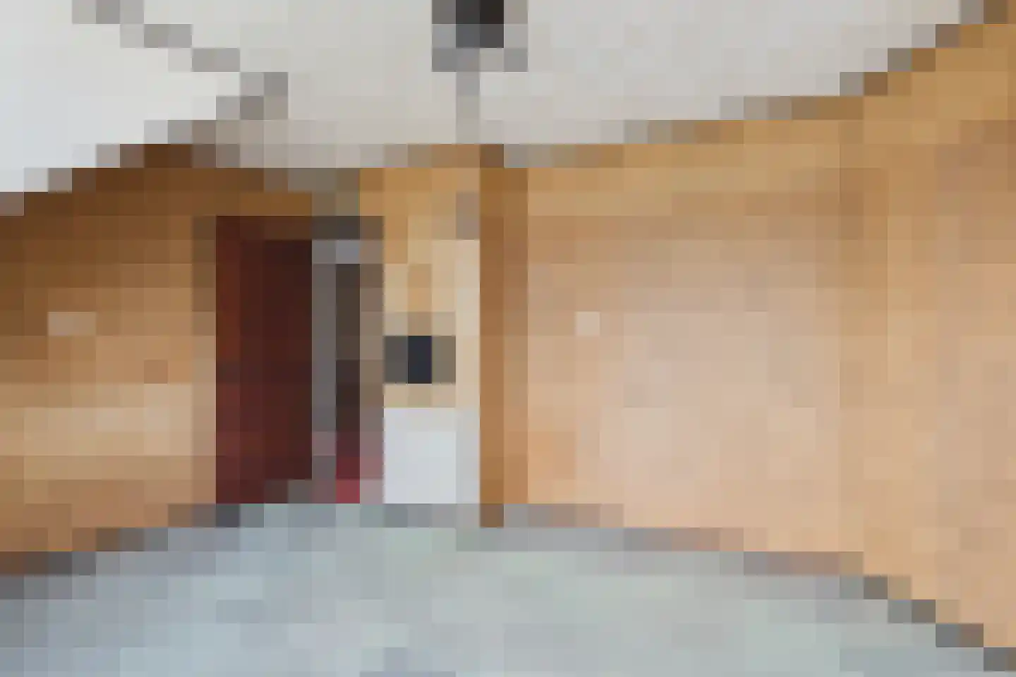 Hulsterloostraat 32 Nieuw Namen thumbnail 29