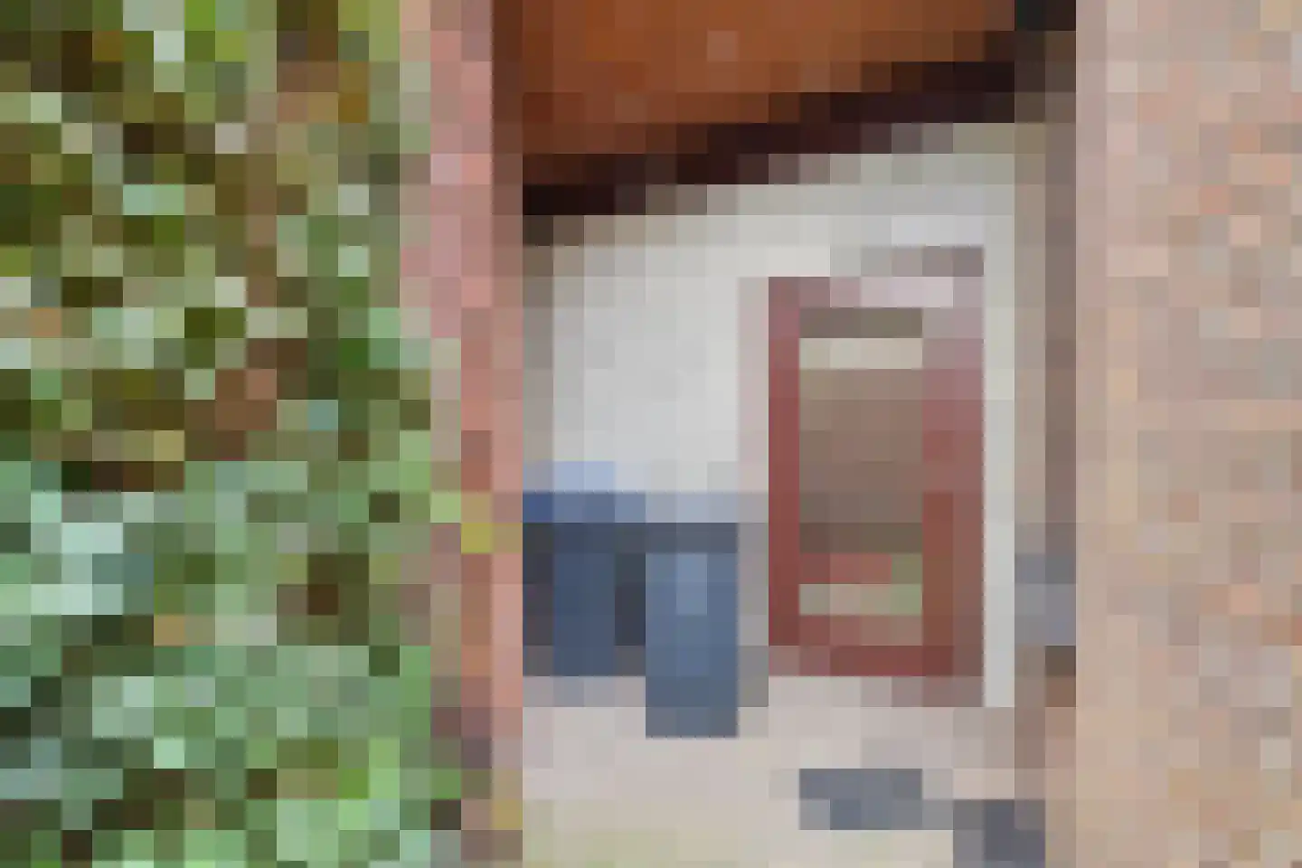 Hulsterloostraat 32 Nieuw Namen thumbnail 32