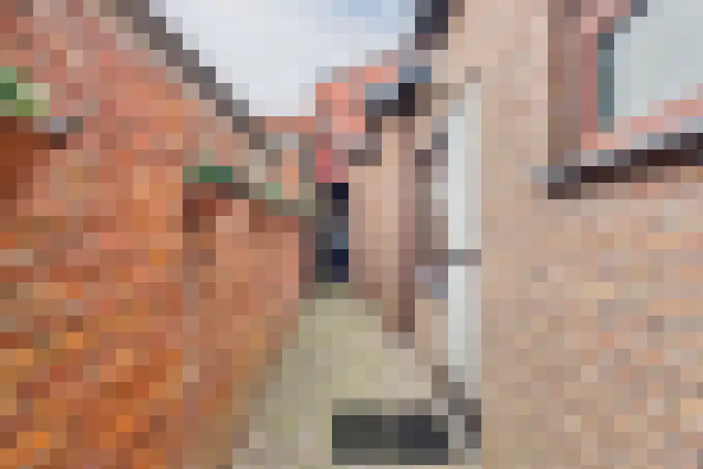 Hulsterloostraat 32 Nieuw Namen thumbnail 33