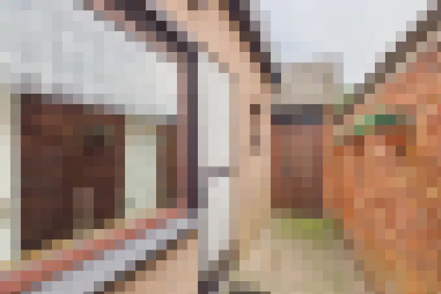 Hulsterloostraat 32 Nieuw Namen thumbnail 34