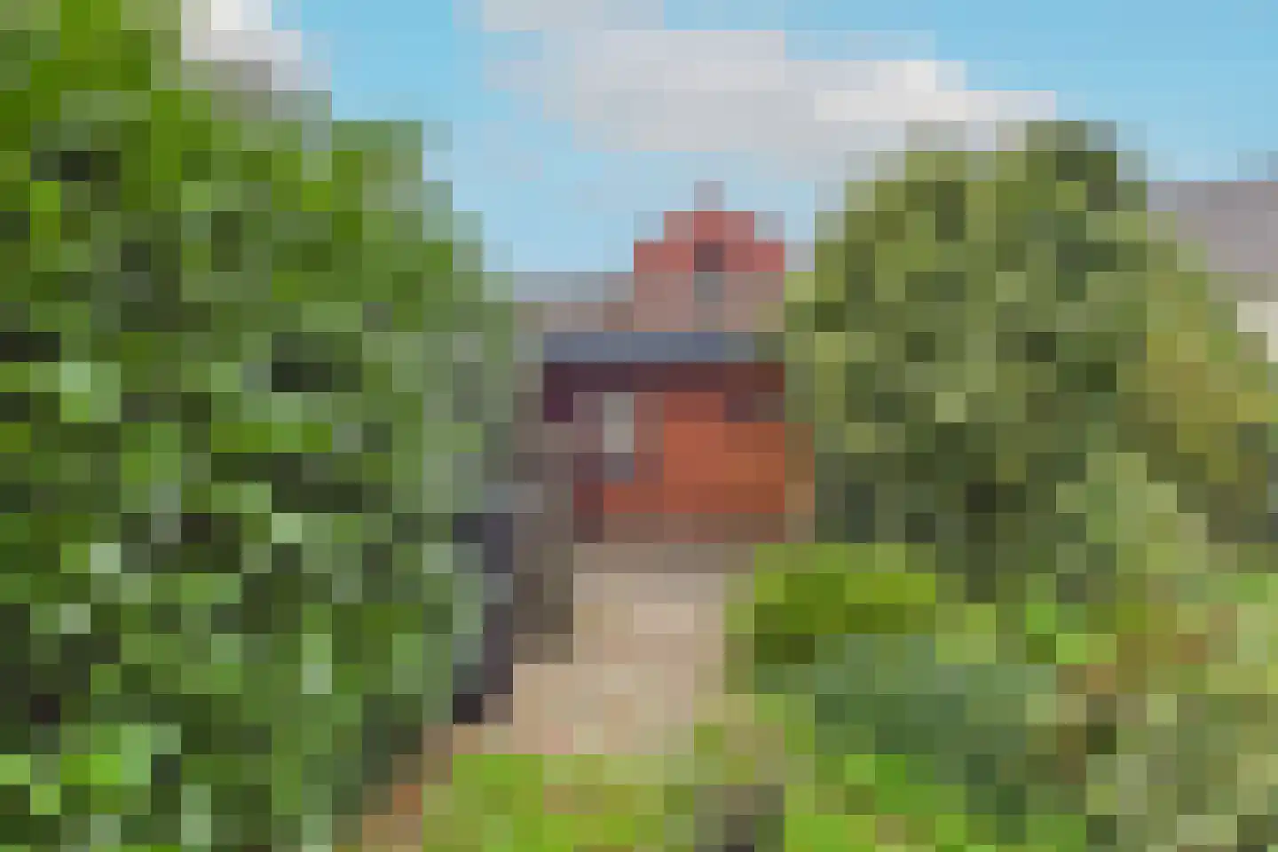 Hulsterloostraat 32 Nieuw Namen thumbnail 38