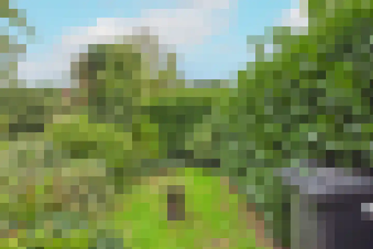 Hulsterloostraat 32 Nieuw Namen thumbnail 39