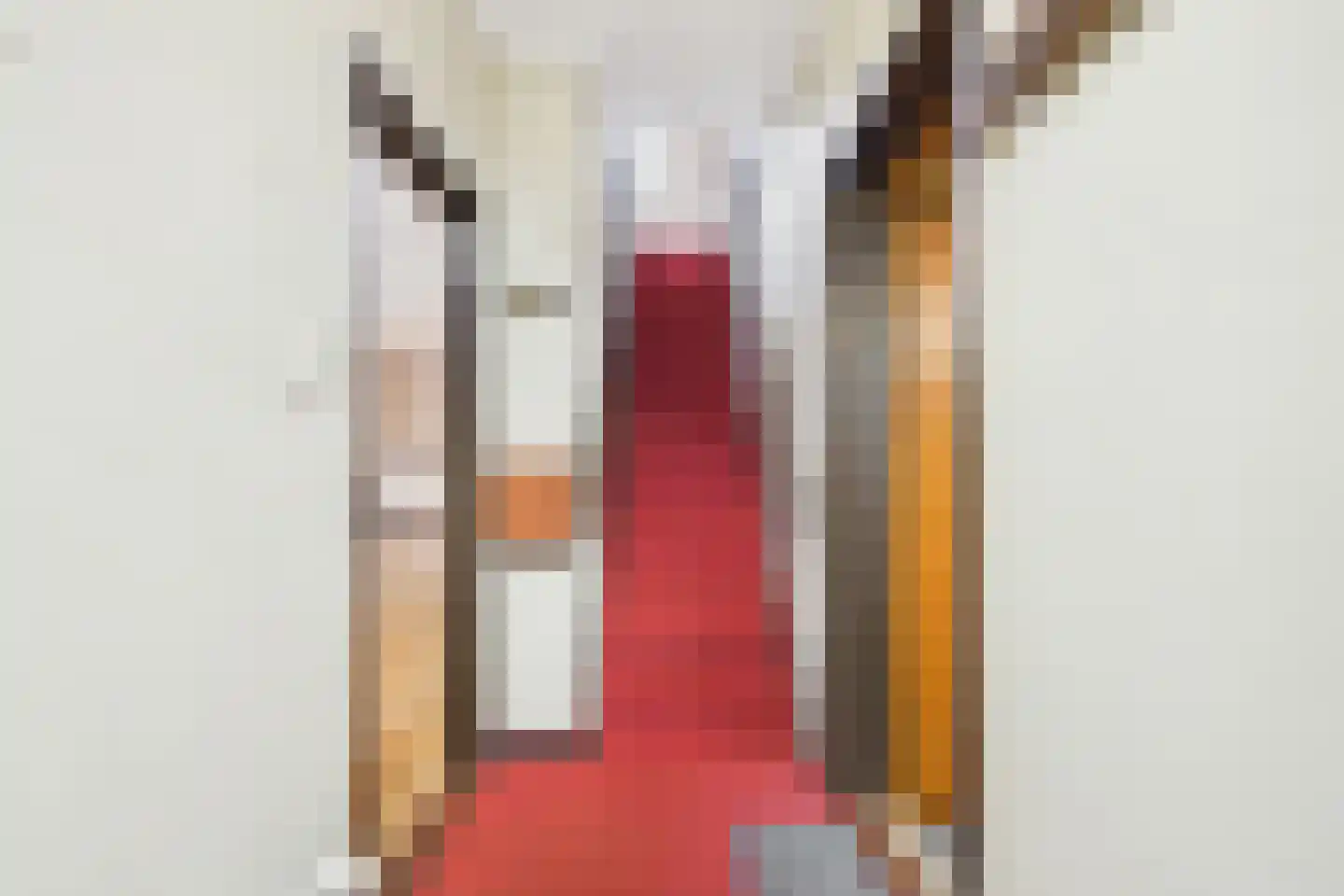 Hulsterloostraat 32 Nieuw Namen thumbnail 4
