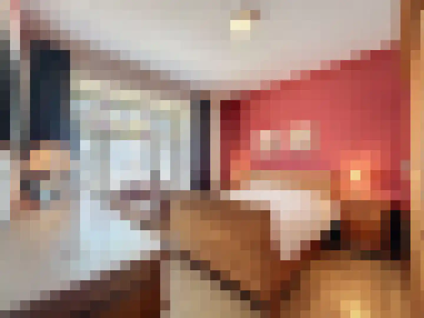 Hulsterloostraat 96 Nieuw Namen thumbnail 13