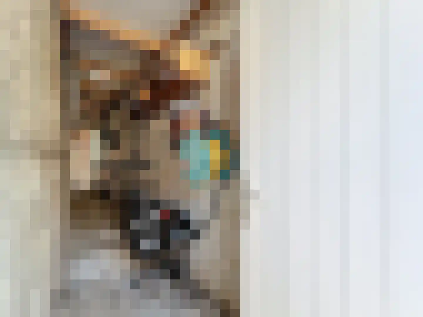 Hulsterloostraat 96 Nieuw Namen thumbnail 15