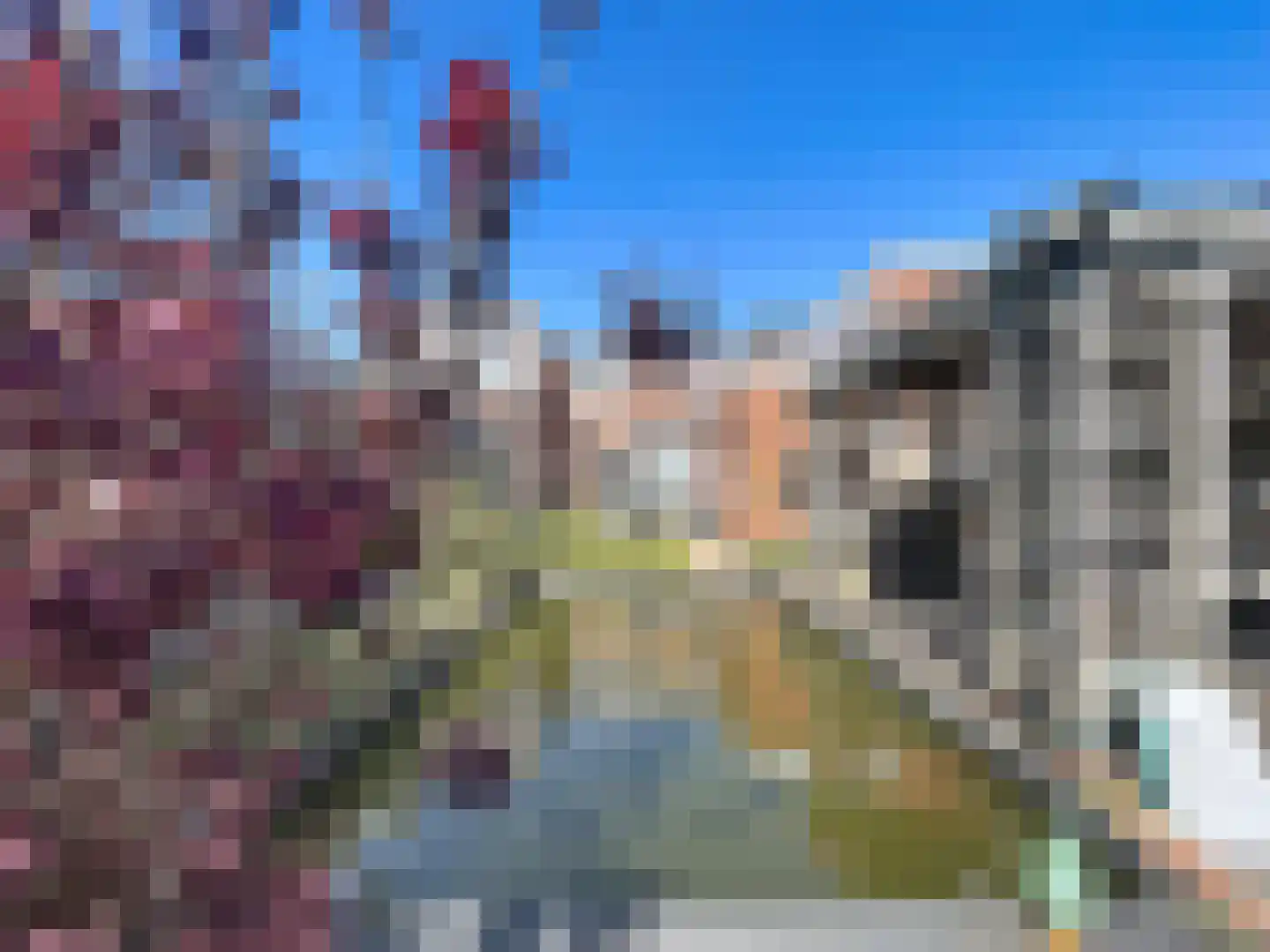 Hulsterloostraat 96 Nieuw Namen thumbnail 16