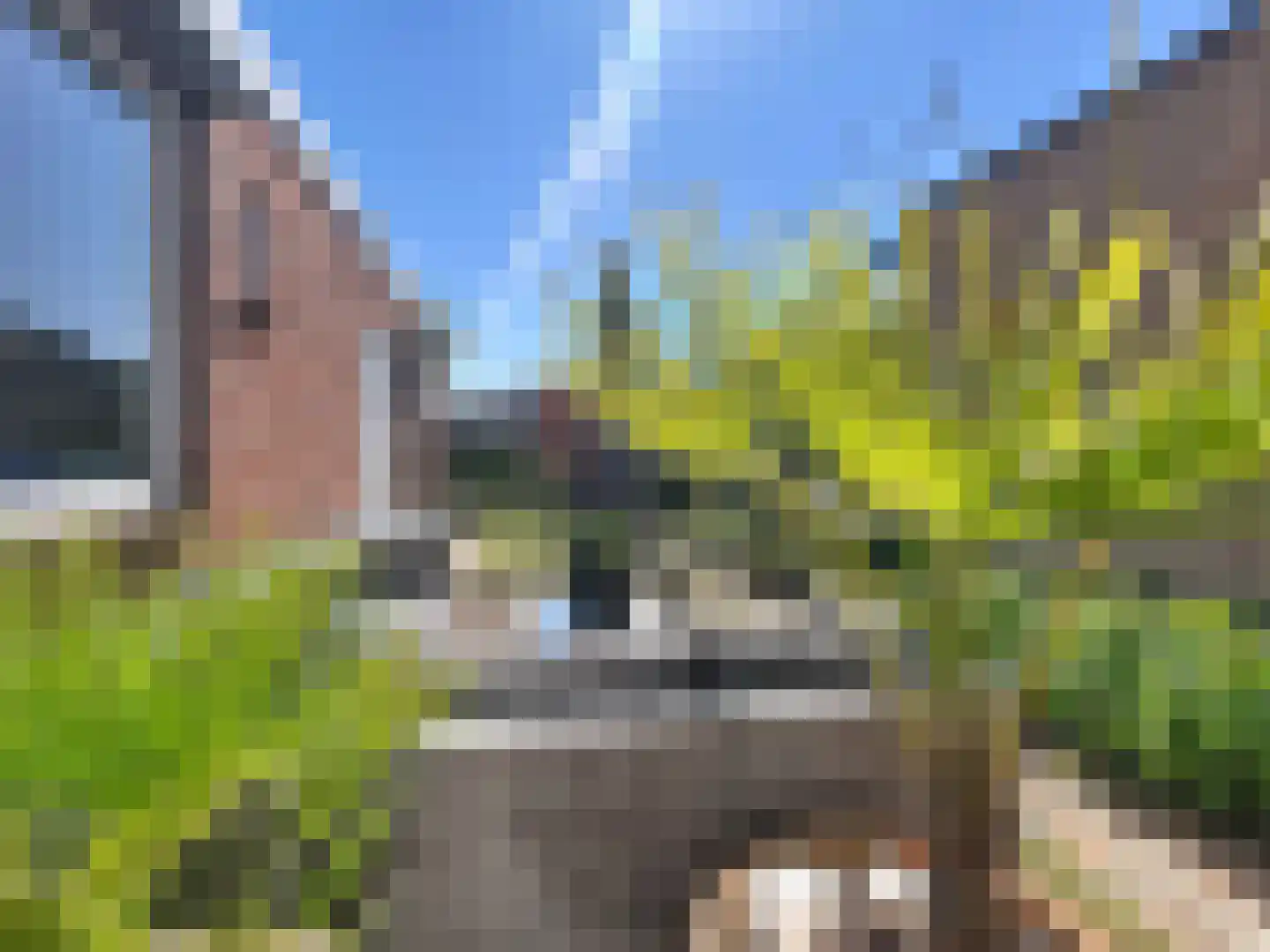 Hulsterloostraat 96 Nieuw Namen thumbnail 17