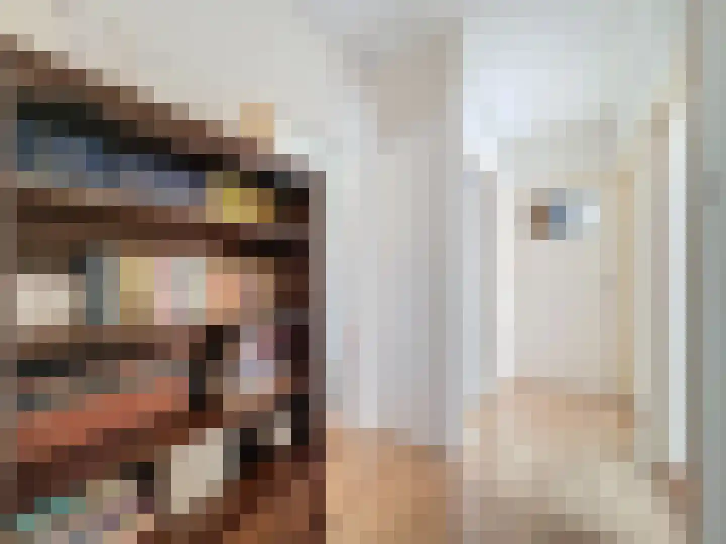 Hulsterloostraat 96 Nieuw Namen thumbnail 5