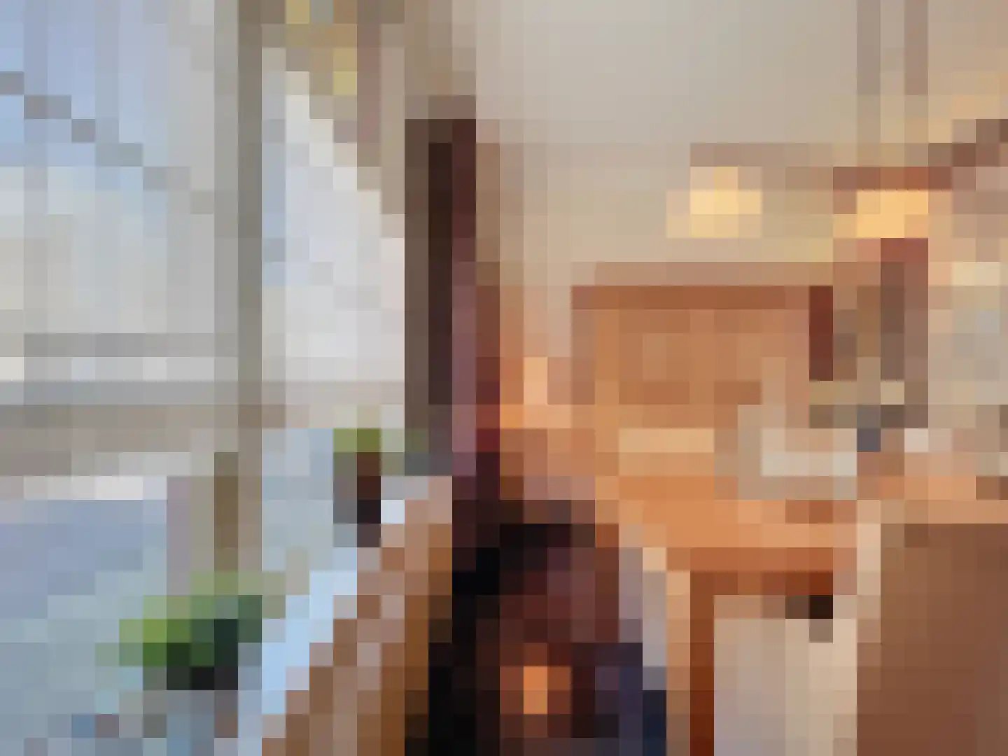 Hulsterloostraat 96 Nieuw Namen thumbnail 6