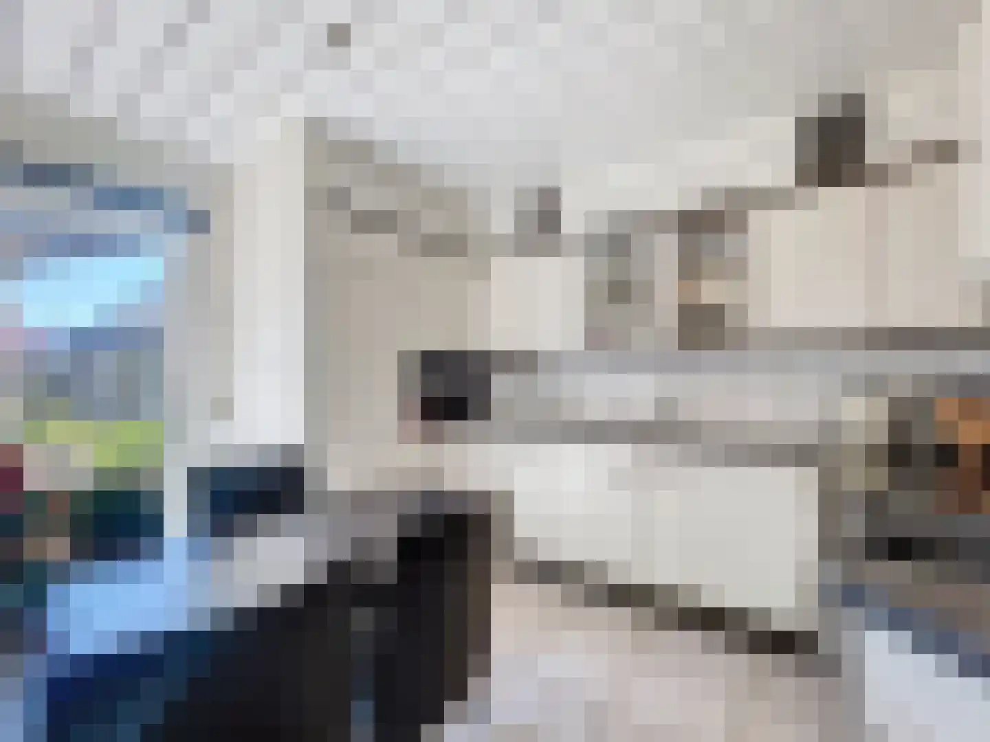 Hulsterloostraat 96 Nieuw Namen thumbnail 8