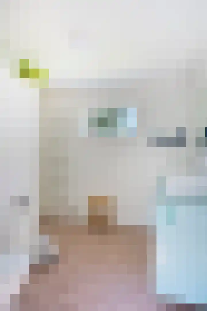 Hulsterseweg 2 Axel thumbnail 11