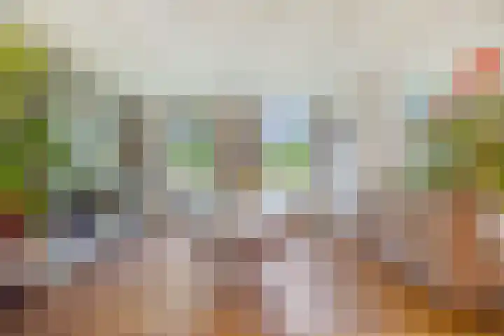 Hulsterseweg 2 Axel thumbnail 14