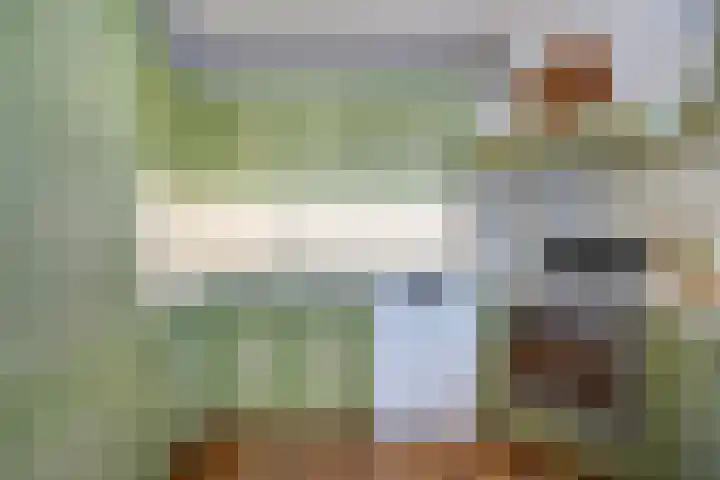 Hulsterseweg 2 Axel thumbnail 17
