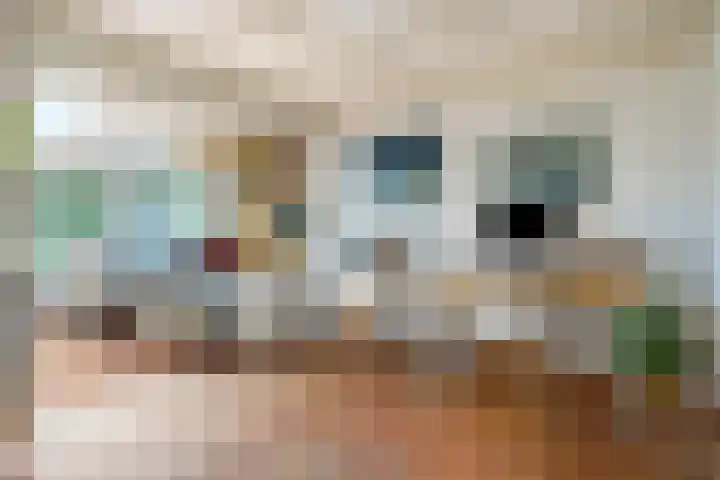 Hulsterseweg 2 Axel thumbnail 18
