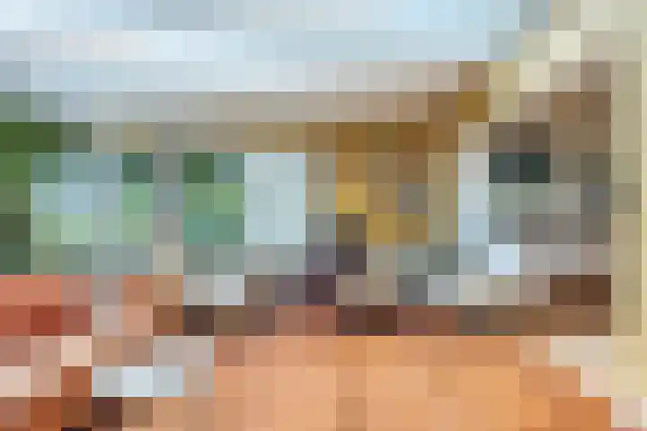 Hulsterseweg 2 Axel thumbnail 20