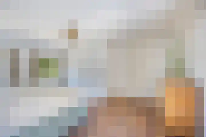 Hulsterseweg 2 Axel thumbnail 24