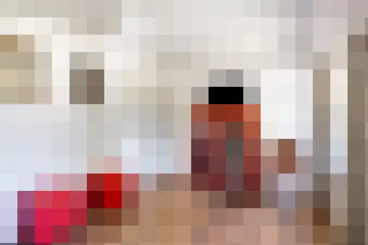 Hulsterseweg 2 Axel thumbnail 26