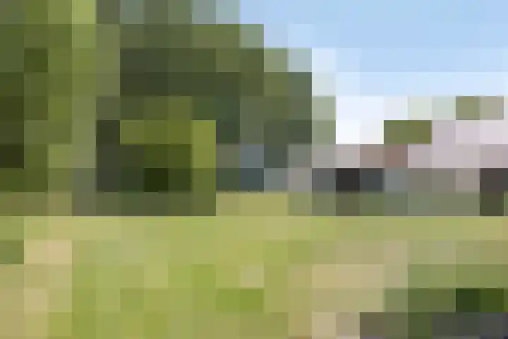 Hulsterseweg 2 Axel thumbnail 27