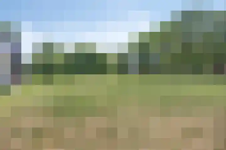 Hulsterseweg 2 Axel thumbnail 29