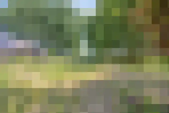 Hulsterseweg 2 Axel thumbnail 32