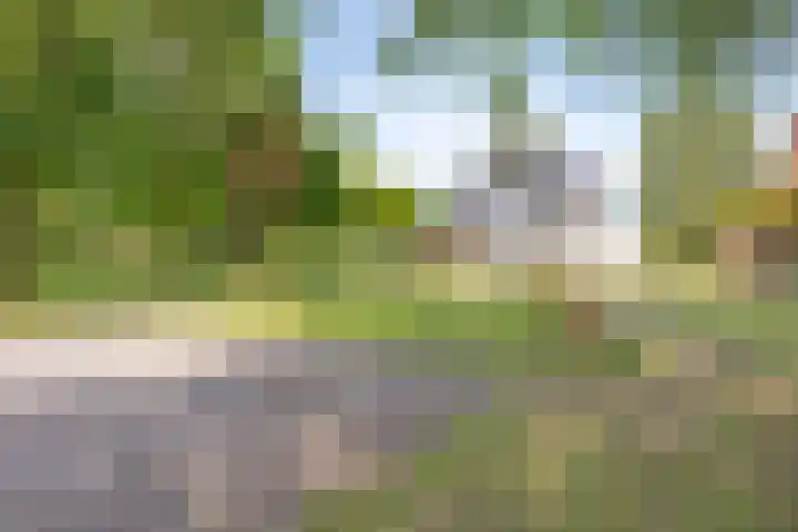 Hulsterseweg 2 Axel thumbnail 34