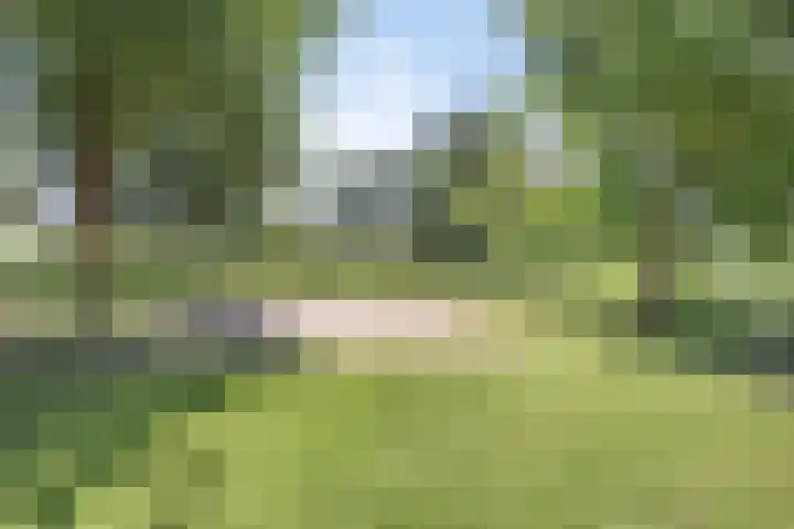 Hulsterseweg 2 Axel thumbnail 35