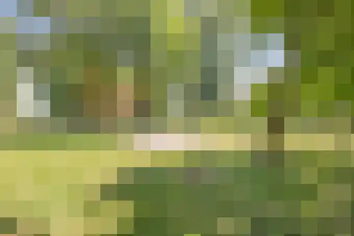 Hulsterseweg 2 Axel thumbnail 37
