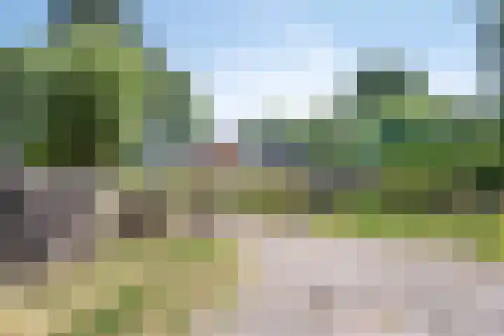 Hulsterseweg 2 Axel thumbnail 6