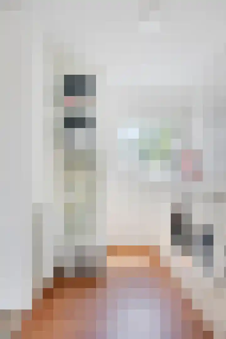 Hulsterseweg 2 Axel thumbnail 8
