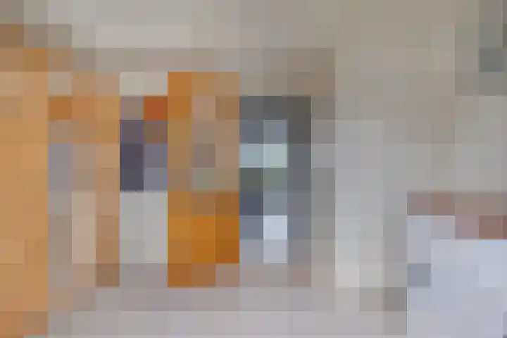 Hulsterseweg 23 Axel thumbnail 13