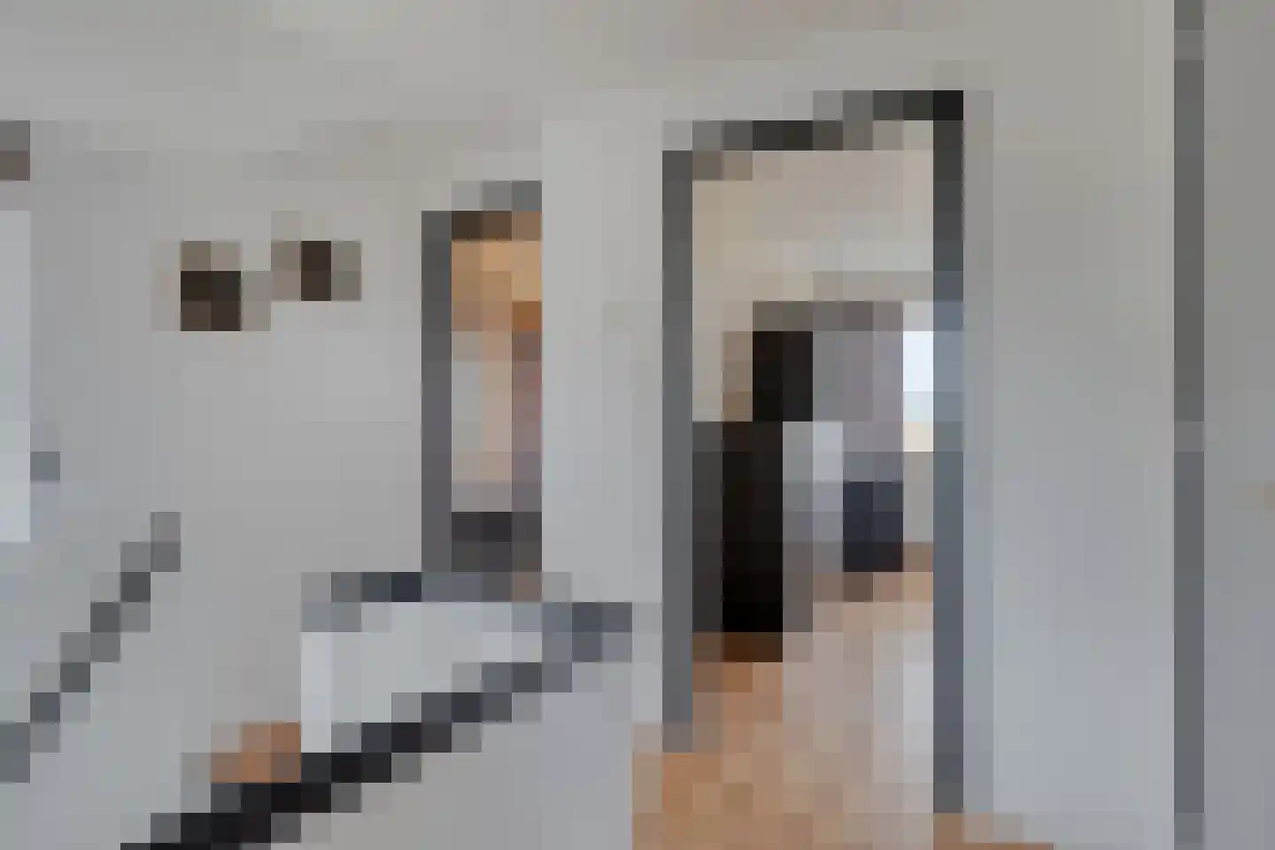 Hulsterseweg 23 Axel thumbnail 16