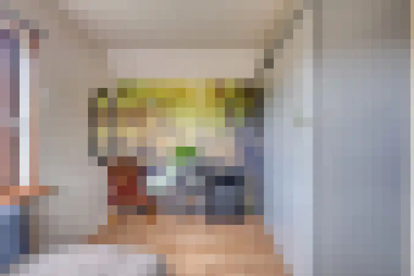 Hulsterseweg 23 Axel thumbnail 21
