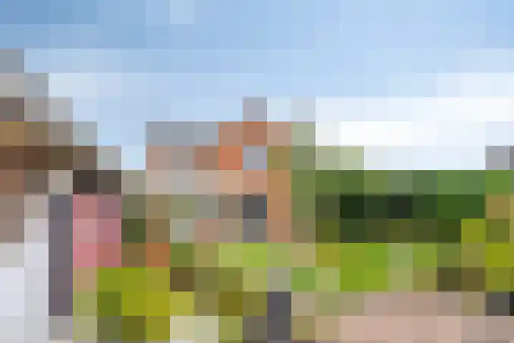 Hulsterseweg 23 Axel thumbnail 25
