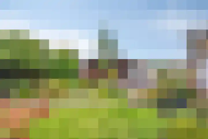 Hulsterseweg 23 Axel thumbnail 27