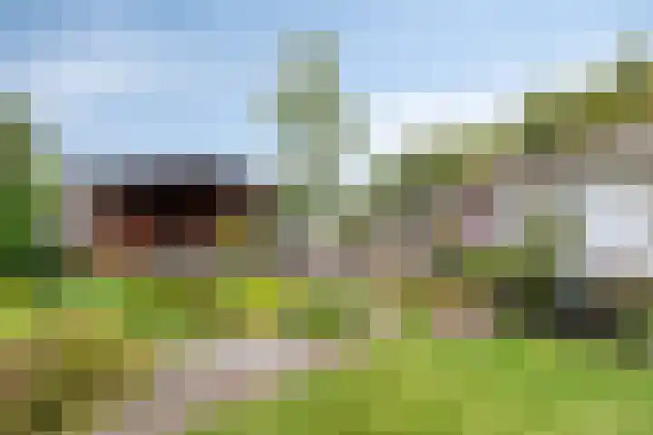 Hulsterseweg 23 Axel thumbnail 28