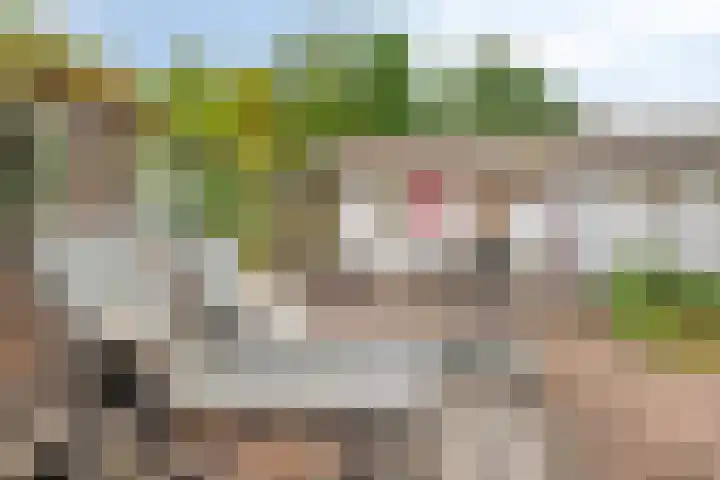 Hulsterseweg 23 Axel thumbnail 29