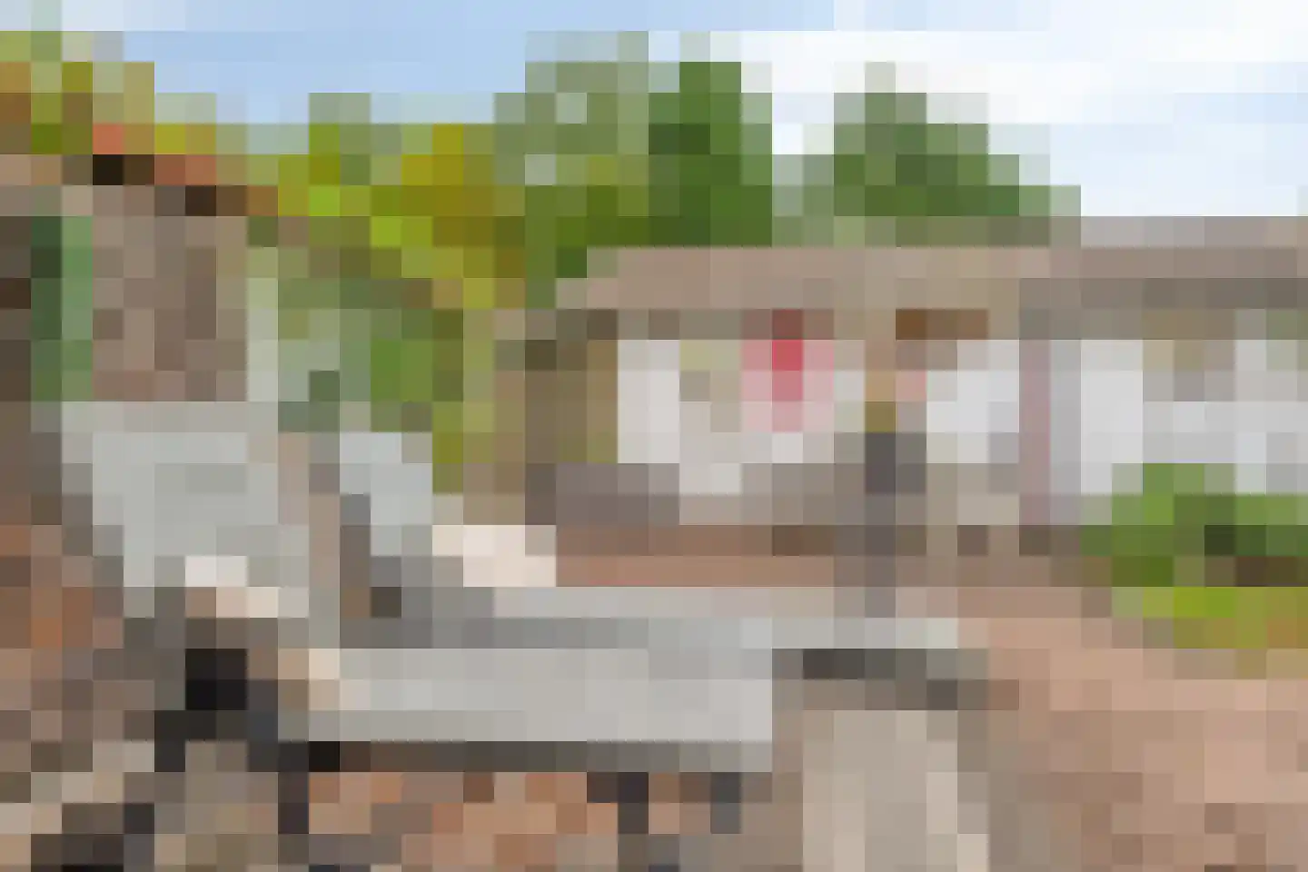 Hulsterseweg 23 Axel thumbnail 29